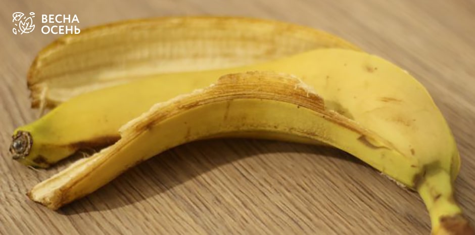 banan3-min.jpg